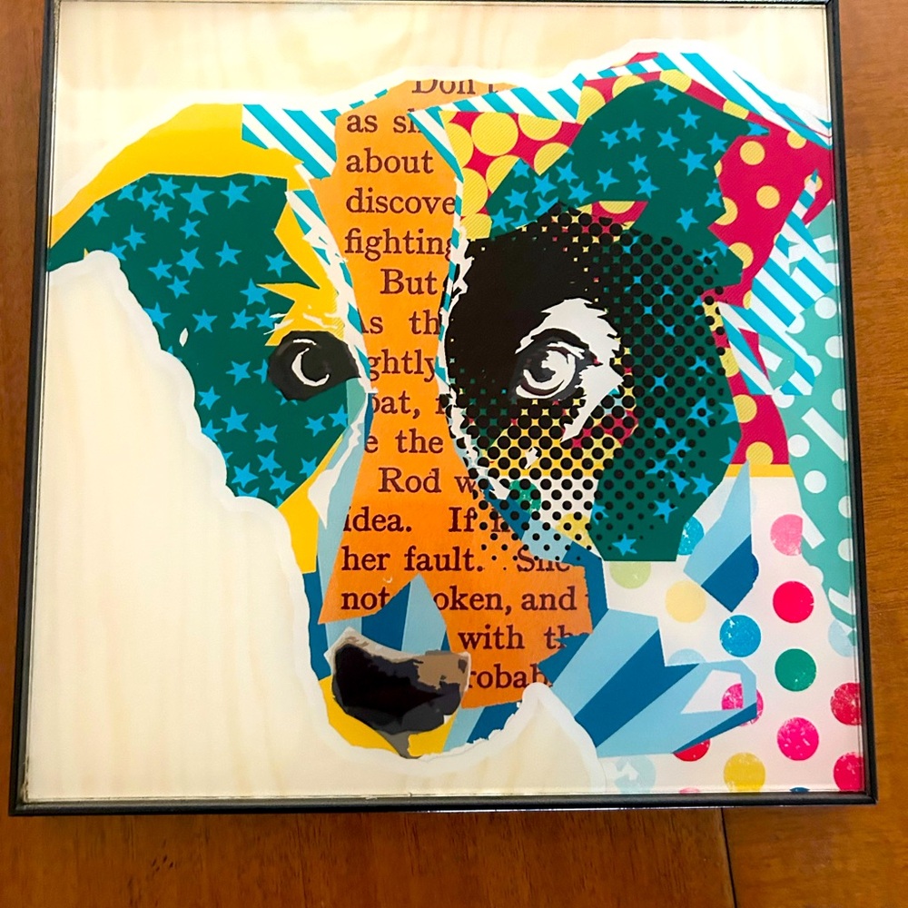 Framed Border Collie Art Print